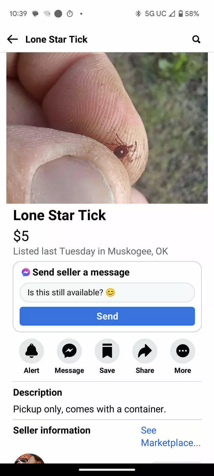 Strangest things ever listed for sale online - #37 