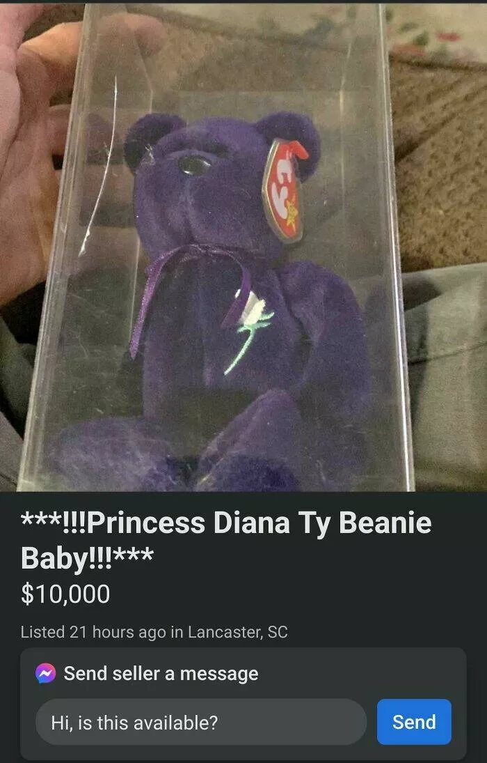 Strangest things ever listed for sale online - #40 