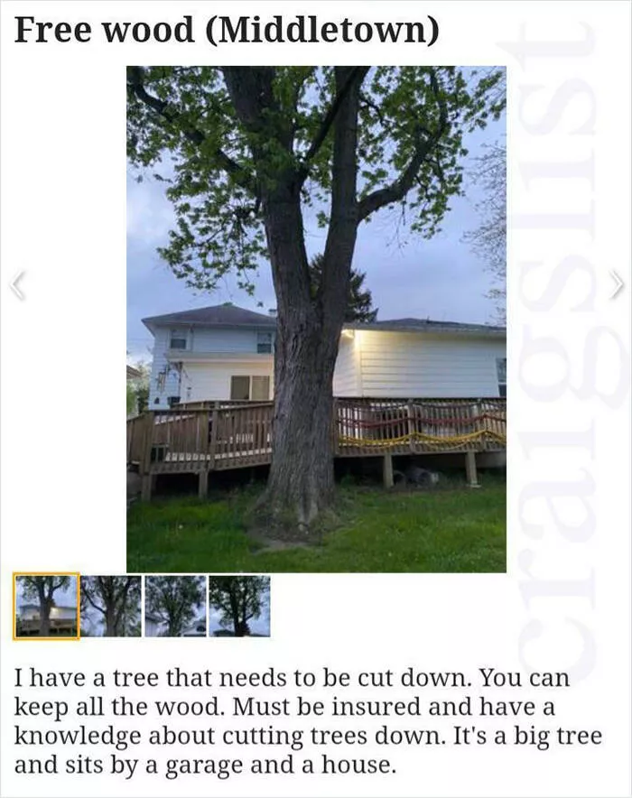 Strangest things ever listed for sale online - #42 