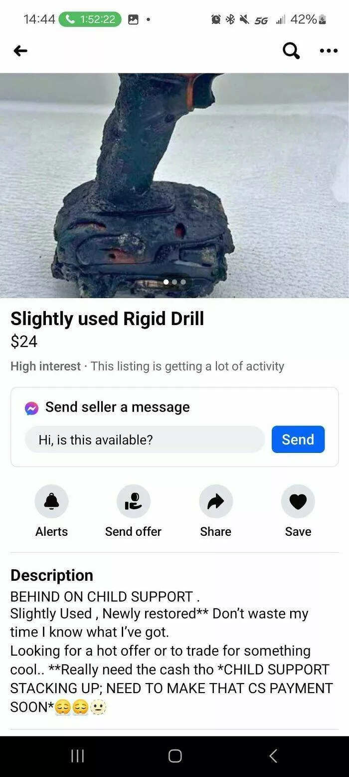 Strangest things ever listed for sale online - #44 