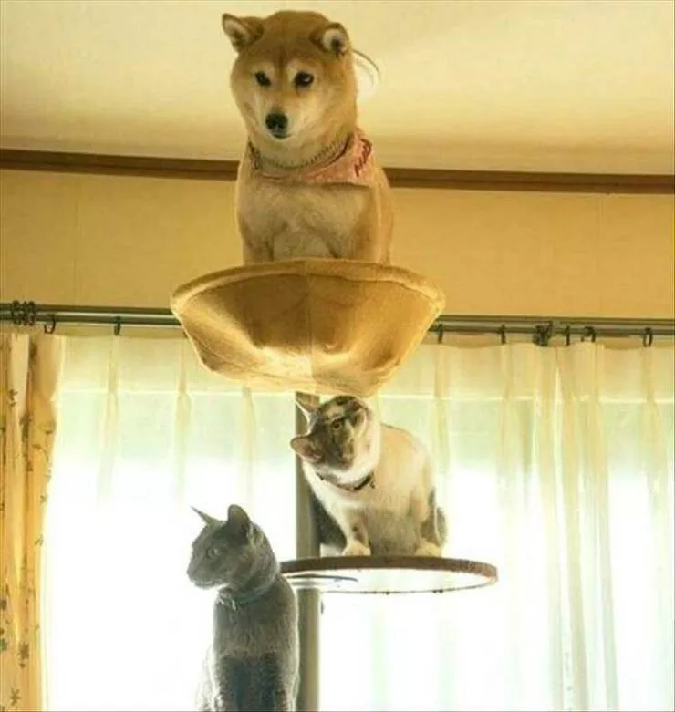 Picdump 890 - #2 