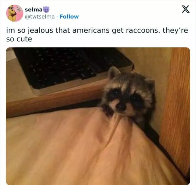 Exclusivites americaines que le monde entier envie - #1 
