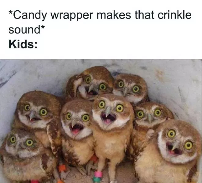 Hilarious dad memes that will have you rolling with laughter - #23 