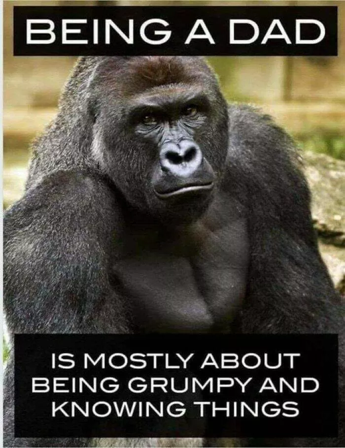 Memes hilarants pour tous les papas qui vous feront rire aux eclats - #47 
