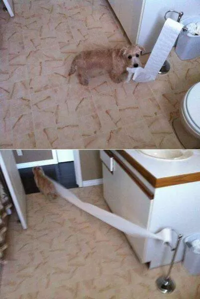 Picdump 892 - #20 