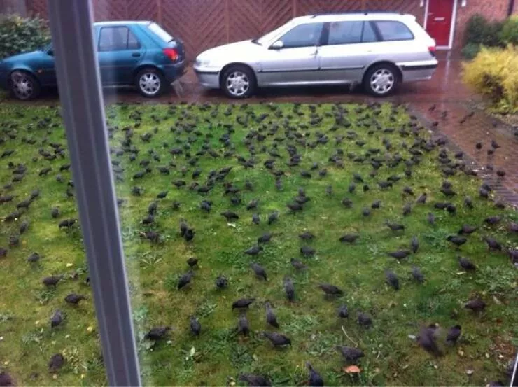 Picdump 892 - #24 