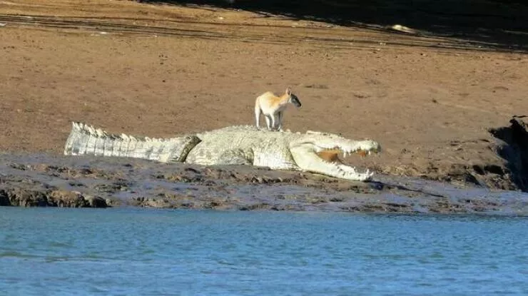 Picdump 892 - #33 