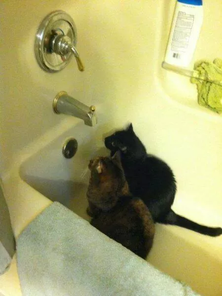 Picdump 892 - #43 