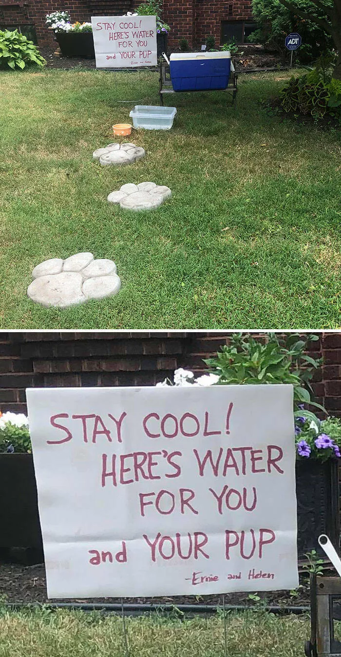 Immortaliser les vagues de chaleur extremes de cet ete - #2 Je suis arrivée chez mes parents et j'ai découvert qu'ils offraient de l'eau gratuite aux gens et à leurs chiens pendant la canicule intense en Amérique. Je suis tellement fière d'être leur fille.