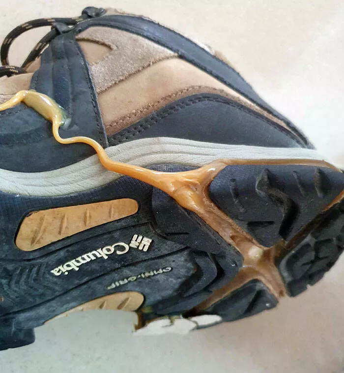 Immortaliser les vagues de chaleur extremes de cet ete - #36 Ma chaussure a fondu dans ma chambre à cause de la chaleur estivale, et maintenant elle ressemble à du caramel. Immortaliser les vagues de chaleur extremes de cet ete - #36 Ma chaussure a fondu dans ma chambre à cause de la chaleur estivale, et maintenant elle ressemble à du caramel.