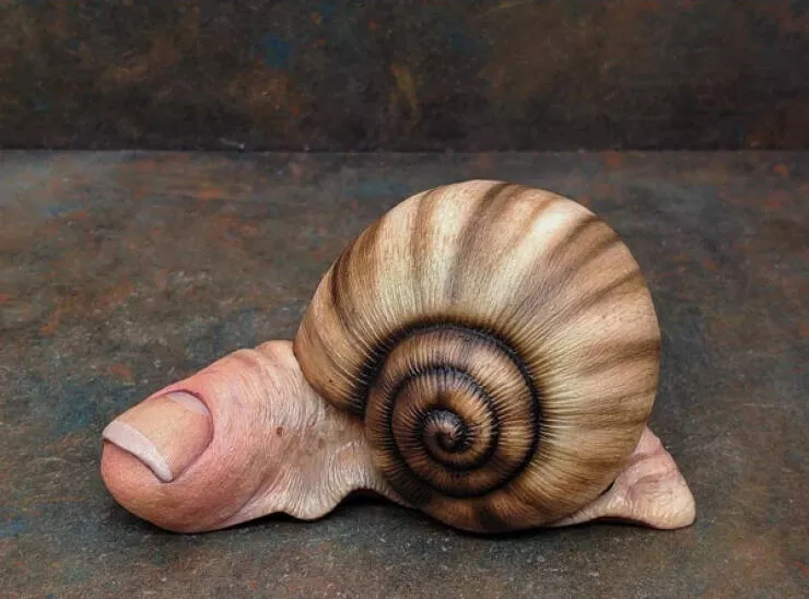 Unbelievable situations that will make you say nope