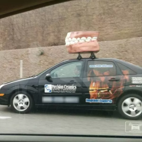 Picdump 893 - #13 