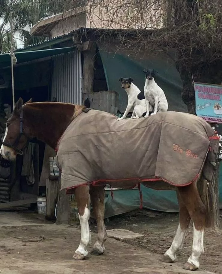 Picdump 893 - #25 