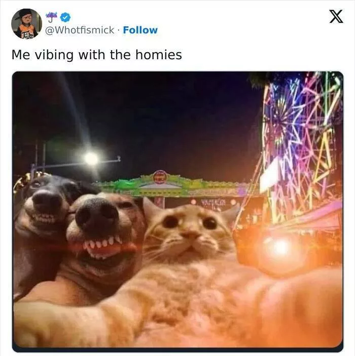 Memes droles auxquels tout le monde peut sidentifier