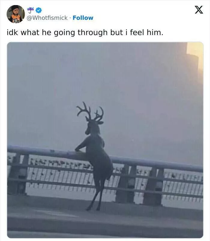 Relatable memes that will have everyone in stitches - #14 