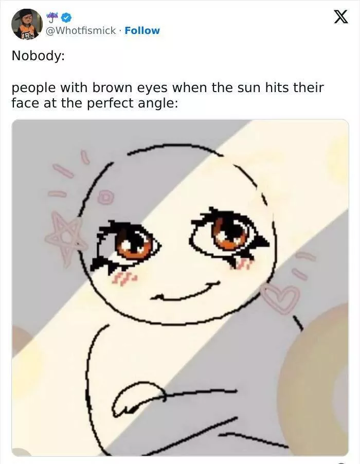 Relatable memes that will have everyone in stitches - #16 