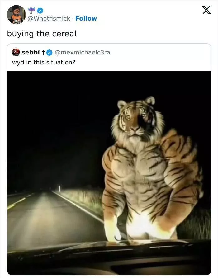 Memes droles auxquels tout le monde peut sidentifier - #36 