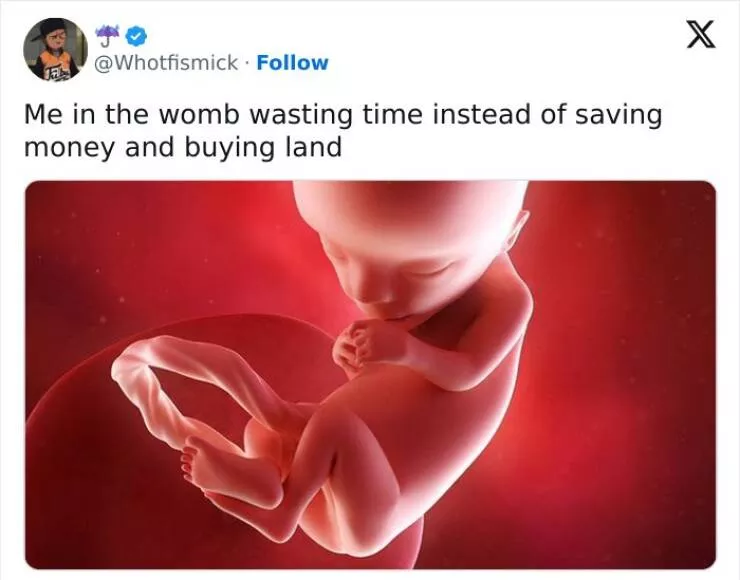 Relatable memes that will have everyone in stitches - #4 