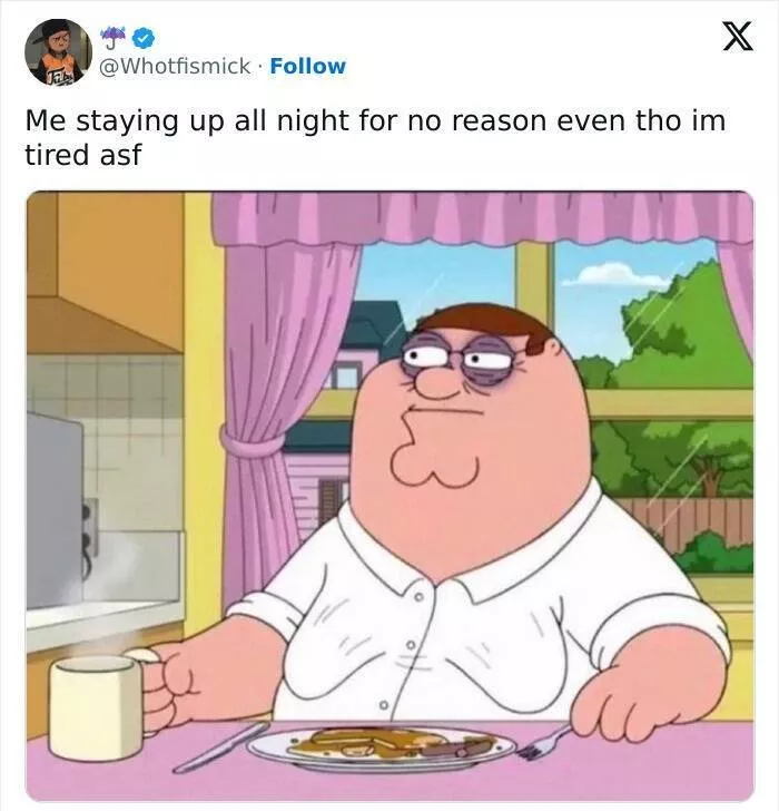 Memes droles auxquels tout le monde peut sidentifier - #42 