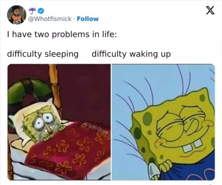 Relatable memes that will have everyone in stitches - #43 