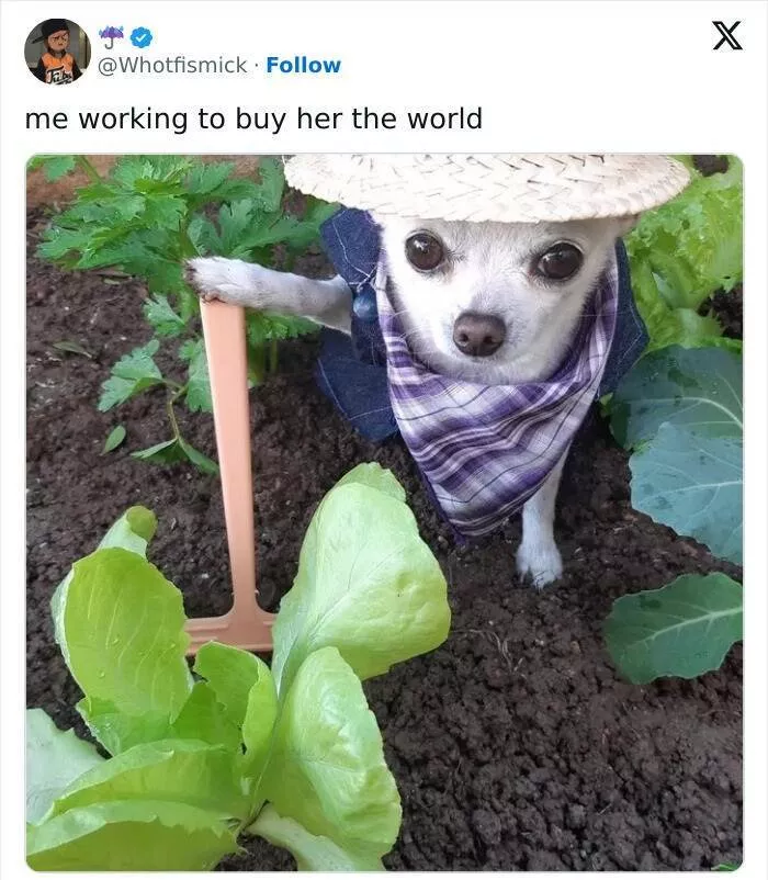 Relatable memes that will have everyone in stitches - #44 