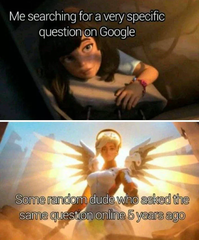 Memes droles auxquels tout le monde peut sidentifier - #51 