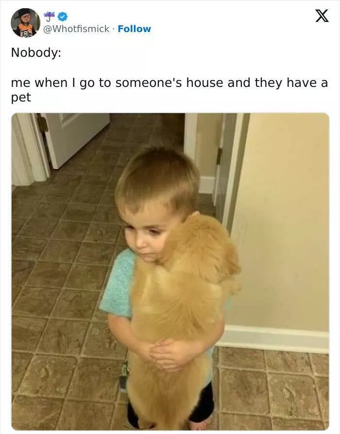 Relatable memes that will have everyone in stitches - #8 