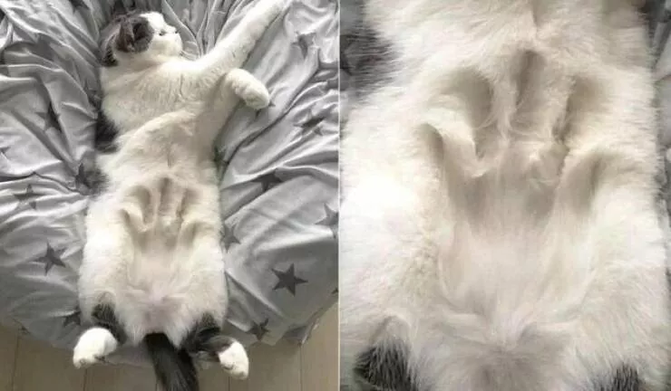 Picdump 894 - #16 