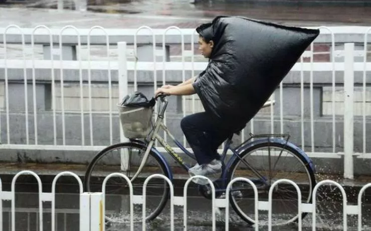 Picdump 894 - #31 