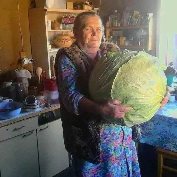 Picdump 894 - #47 