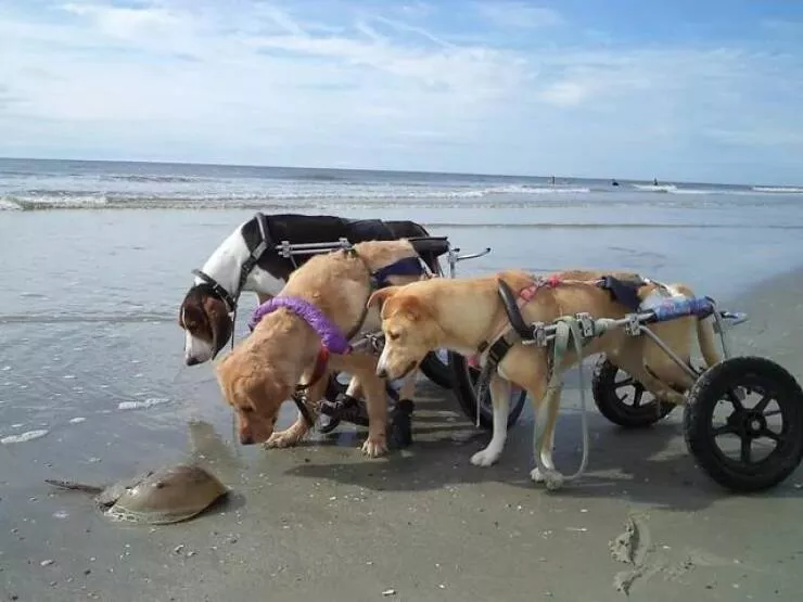 Picdump 894 - #52 