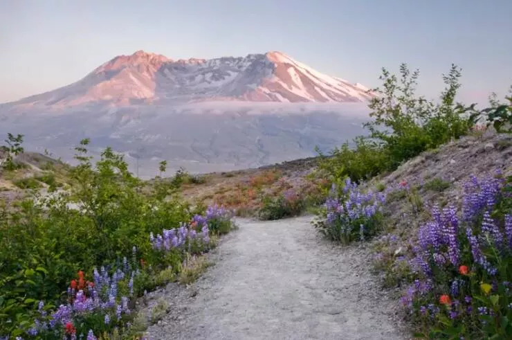 Amazing before and after photos of historic landmark transformations - #20 Mount St. Helens during its eruption in 1980