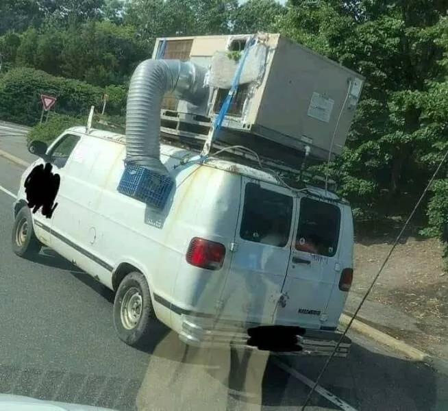 Picdump 895 - #24 