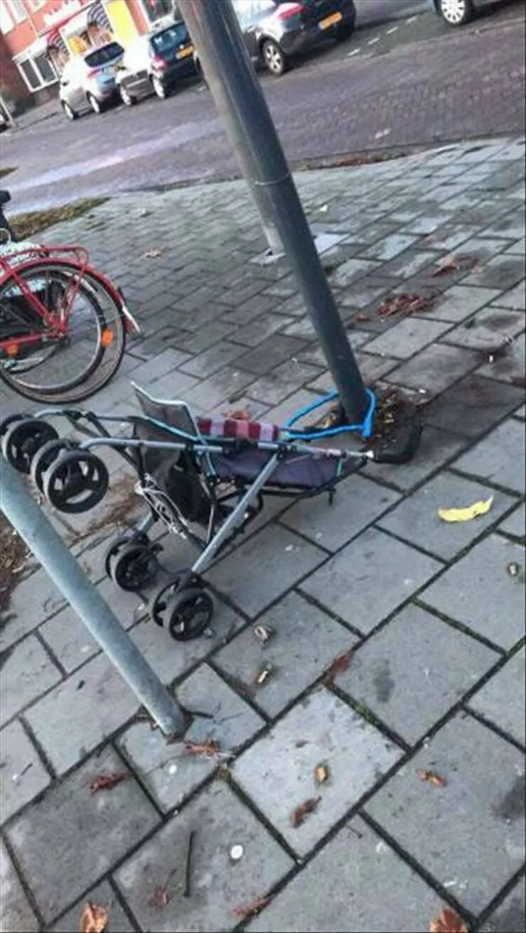 Picdump 897 - #14 