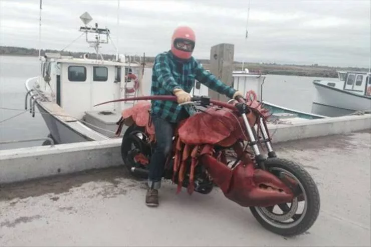 Picdump 897 - #8 