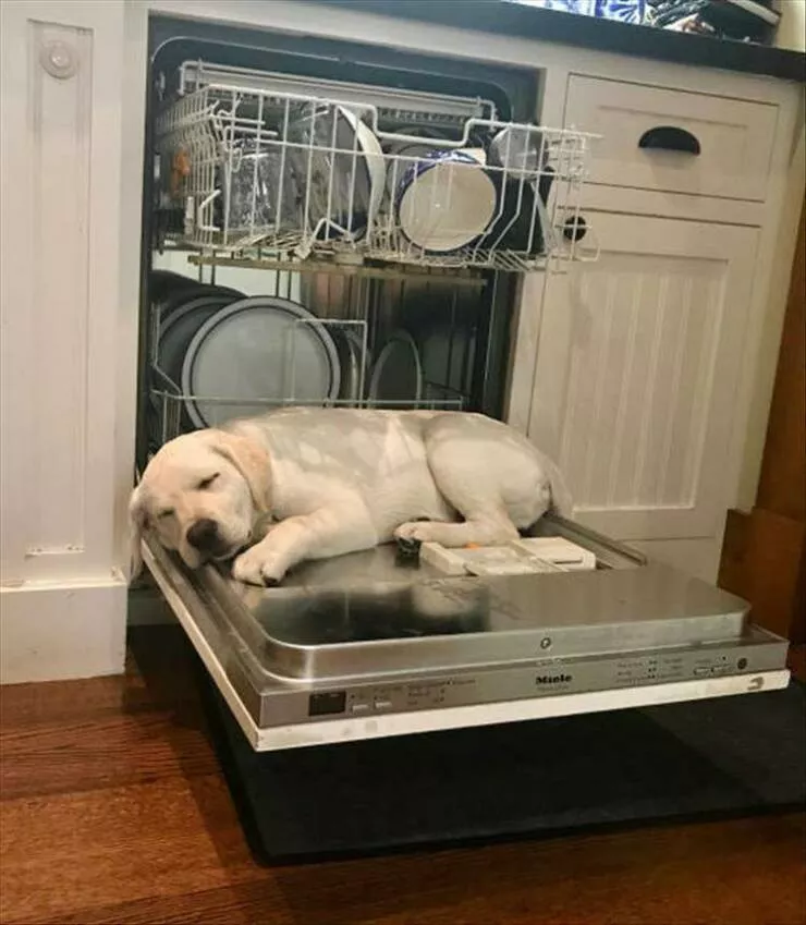 Picdump 897 - #9 