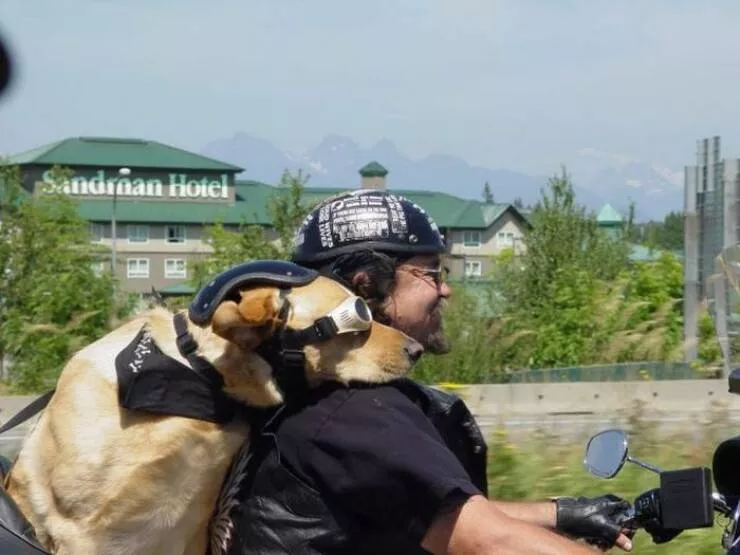Picdump 898 - #10 
