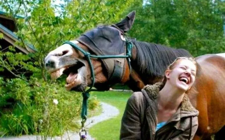 Picdump 898 - #23 