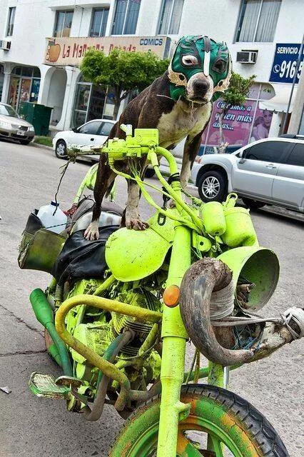 Picdump 898 - #31 