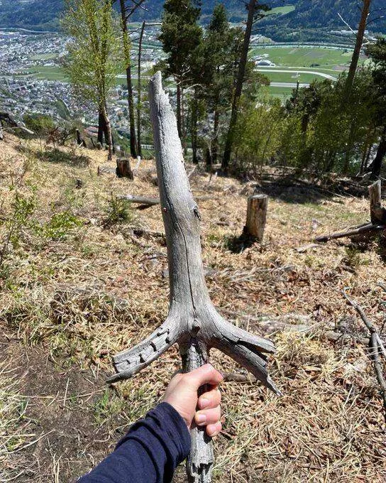 Picdump 898 - #7 
