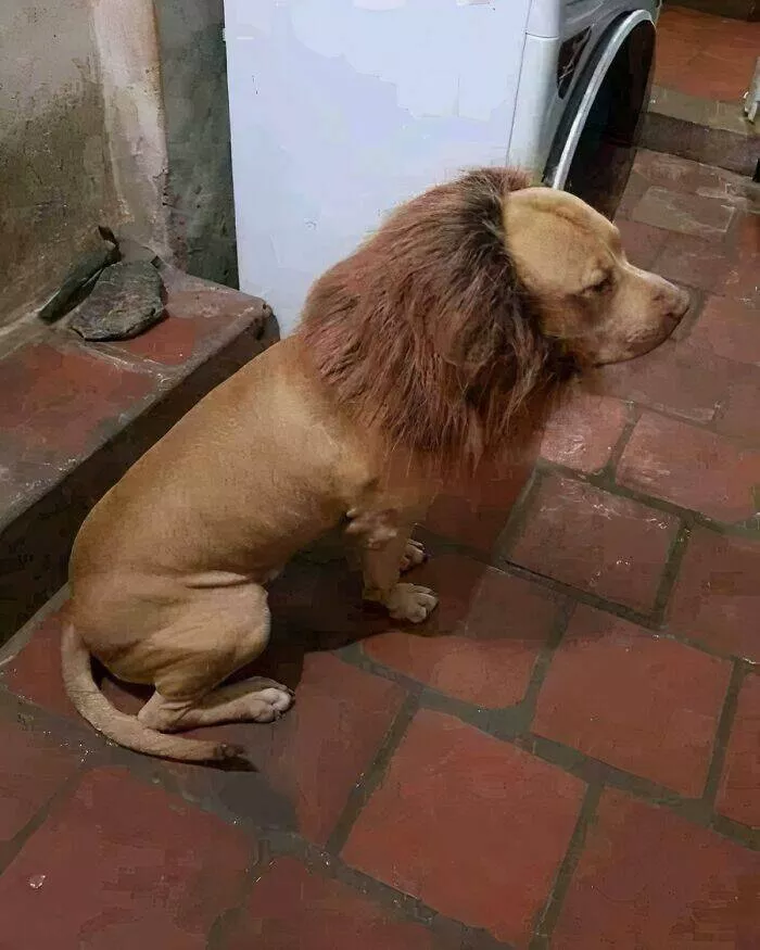 Quirky and hilarious images that showcase indias unique moments - #13 