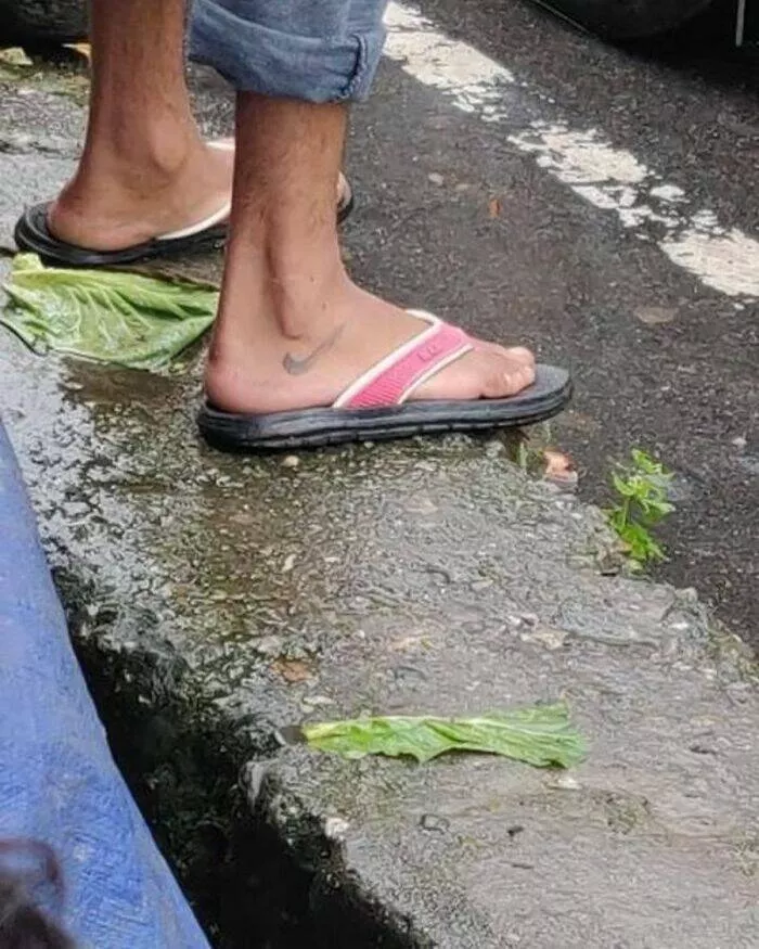 Images droles qui mettent en lumiere les moments bizarres de linde - #29 