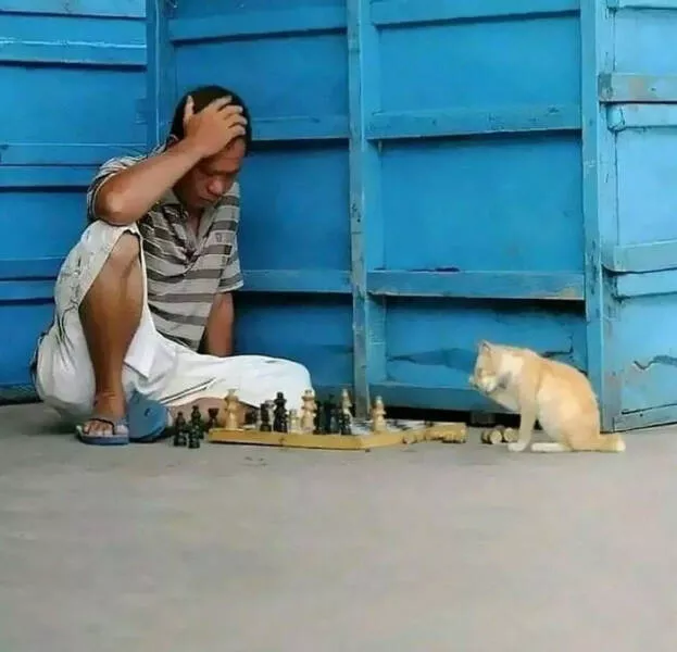 Quirky and hilarious images that showcase indias unique moments - #3 