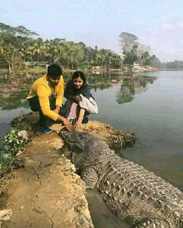 Quirky and hilarious images that showcase indias unique moments - #35 Quirky and hilarious images that showcase indias unique moments - #35