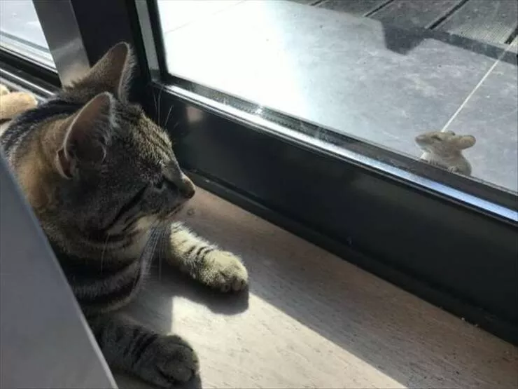 Picdump 899 - #3 
