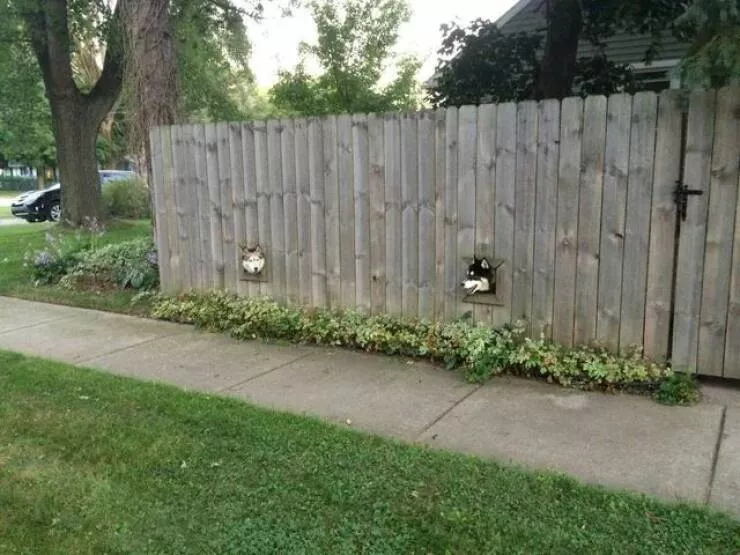 Picdump 901 - #26 