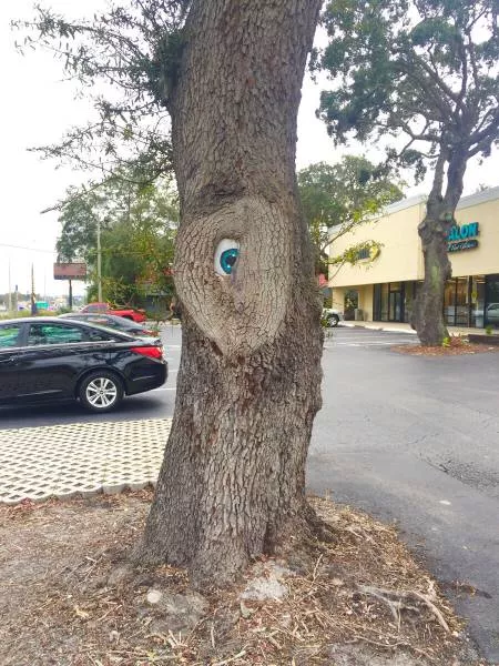 Picdump 14 - #30 
