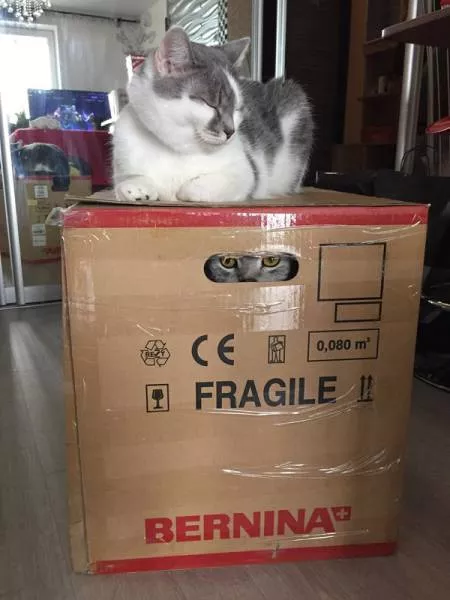 Picdump 116 - #50 