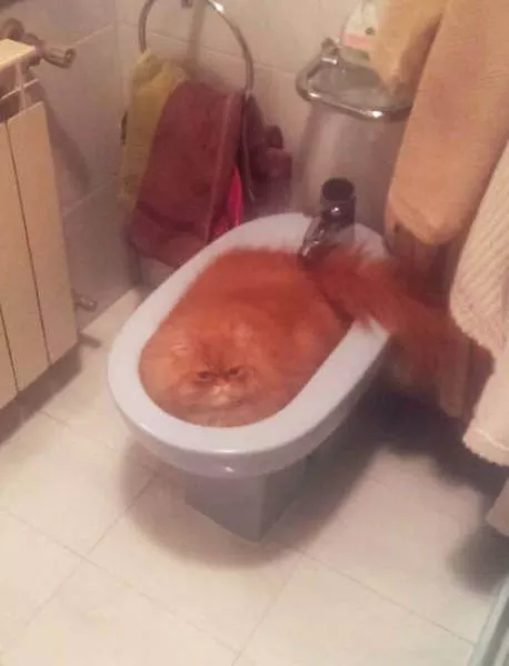 Picdump 116 - #6 