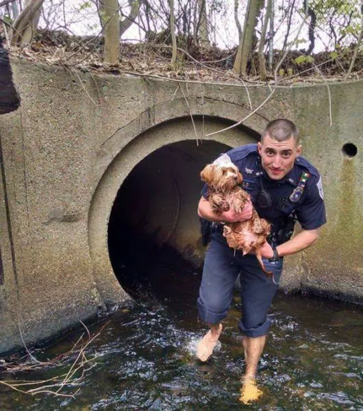 Picdump 116 - #63 